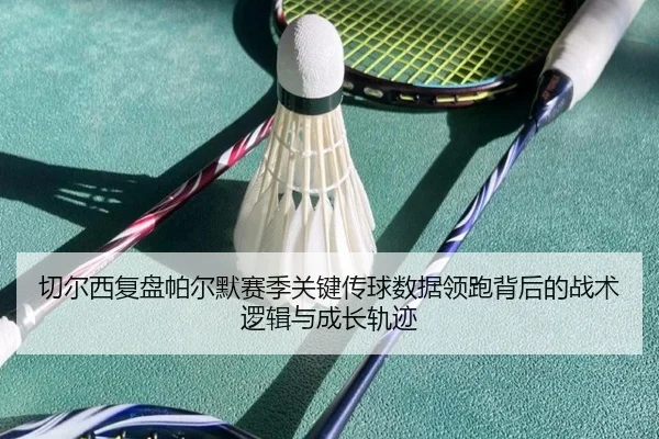 切尔西复盘帕尔默赛季关键传球数据领跑背后的战术逻辑与成长轨迹